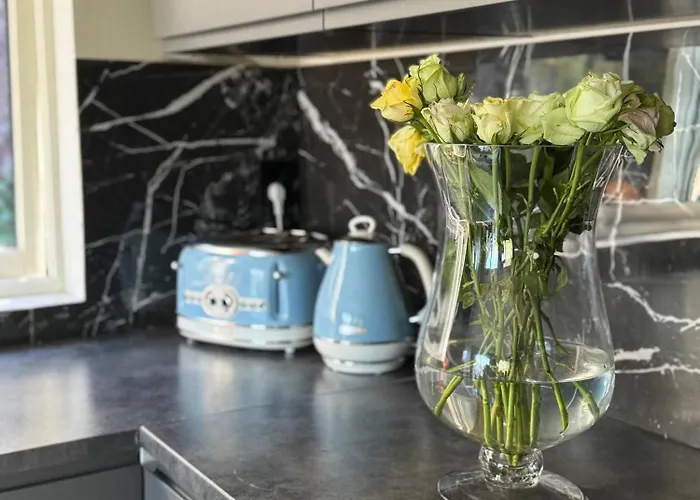 Tranquil Close To Downtown *